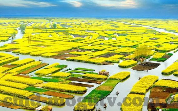 91麻豆app-探索数字化娱乐的边界与影响——以91麻豆app为例