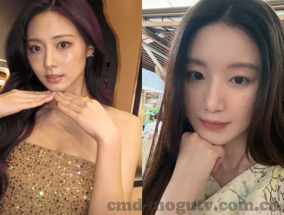 成人短视频在线观看-成人短视频，网络文化中的灰色地带与个人选择