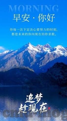 大象文化传媒-探索大象文化传媒，传统与现代的交融