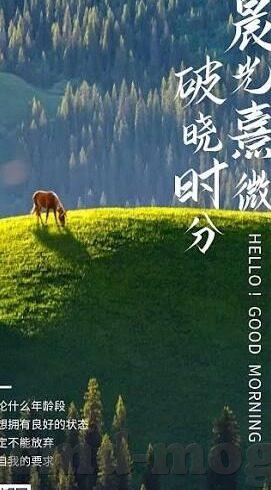 国产麻豆剧果冻传媒app-国产剧界的新星，解析麻豆剧与果冻传媒App的崛起与市场影响