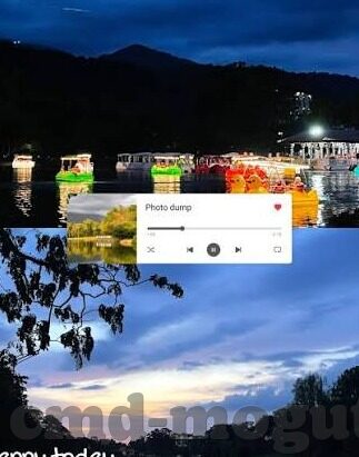 精品一区二区三区蜜桃-探索精品一区二区三区蜜桃的独特魅力