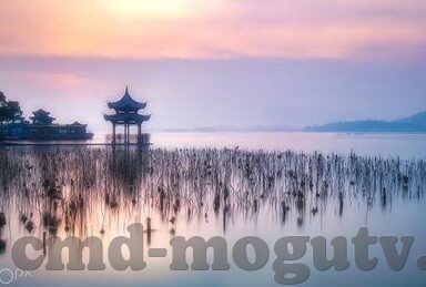 久久久久久人妻无码-探索人妻角色的多维度视角，在爱与尊重中寻找平衡