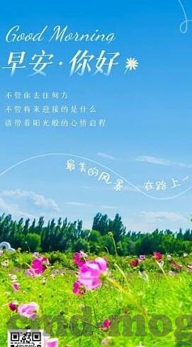 麻豆传媒app在线-解读麻豆传媒app在线，在线视频行业的一把双刃剑