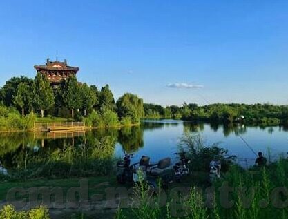 麻豆传媒直播app-数字娱乐新体验，探索麻豆传媒直播APP的多元化魅力