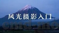 糖心app免费下载官网-轻触指尖，即刻开启糖心app的奇妙旅程——免费下载全攻略