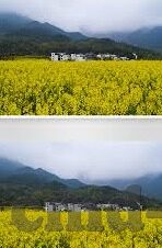 亚洲成人一区二区三区-探索亚洲成人一区二区三区的多元文化与地域特色