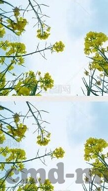 亚洲综合av伊人久久麻豆-探索文化多样性与数字时代的交汇 —— 亚洲综合AV作品中的多维视角